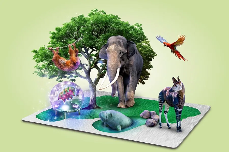Mandai 6 Attractions Destination Pass artwork with an elephant, orangutan, macaw, okapi and manatee