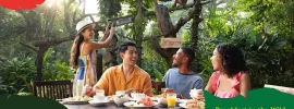 Guests at Breakfast in the Wild at Singapore Zoo with orangutans overhead