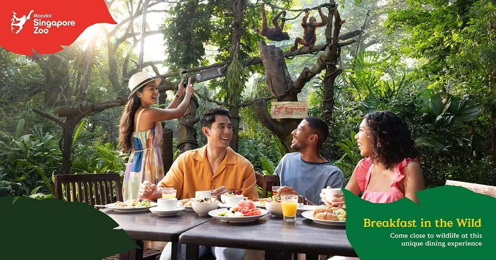 Guests at Breakfast in the Wild at Singapore Zoo with orangutans overhead
